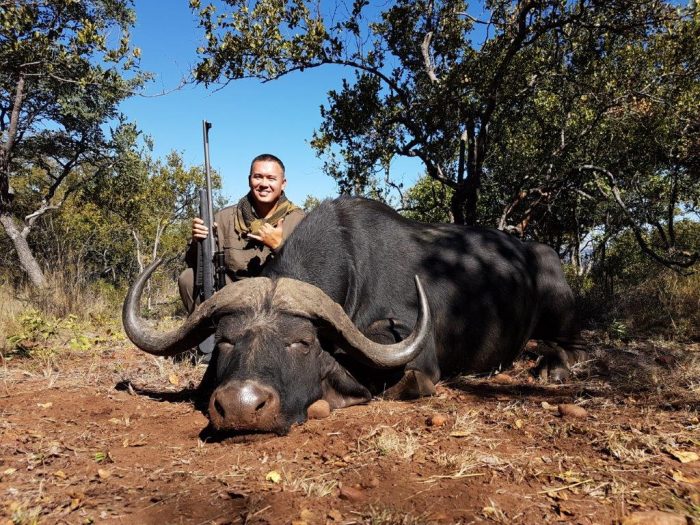 Umdende Hunting Safaris Buffalo