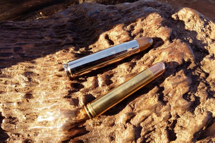 Buffalo Hunting Ammunition