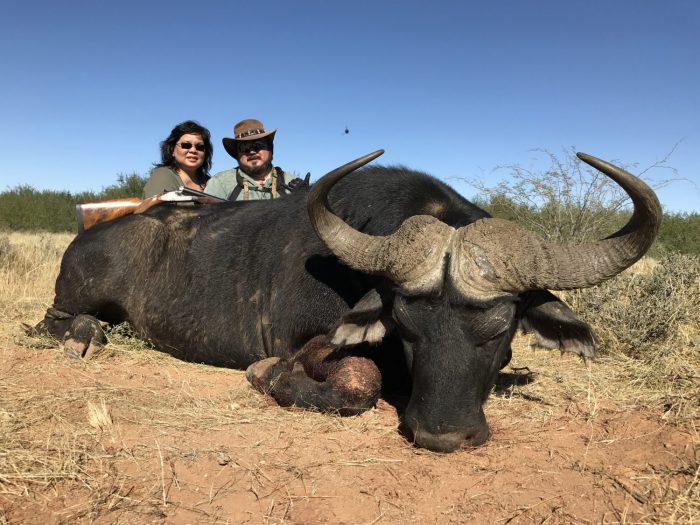 Umdende Hunting Safaris Buffalo
