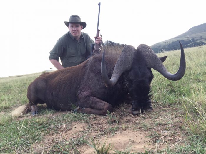 Umdende Hunting Safaris Black Wildebeest