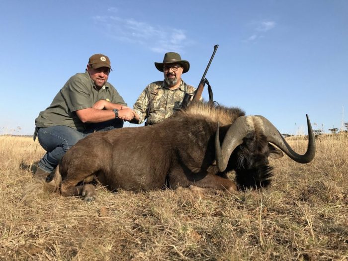 Umdende Hunting Safaris Black Wildebeest