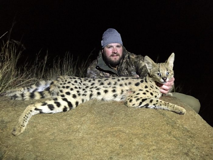 Umdende Hunting Safaris Serval