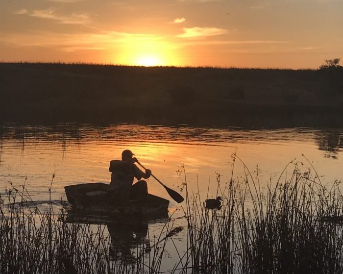 Collection Bird Hunting