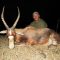 Umdende Hunting Safaris Blesbuck