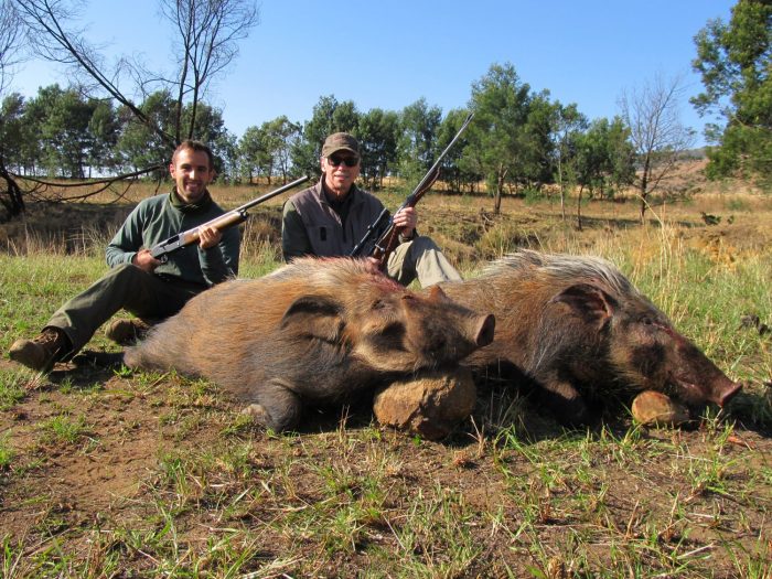 Umdende Hunting Safaris Bushpig
