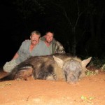Umdende Hunting Safaris Brown Hyena