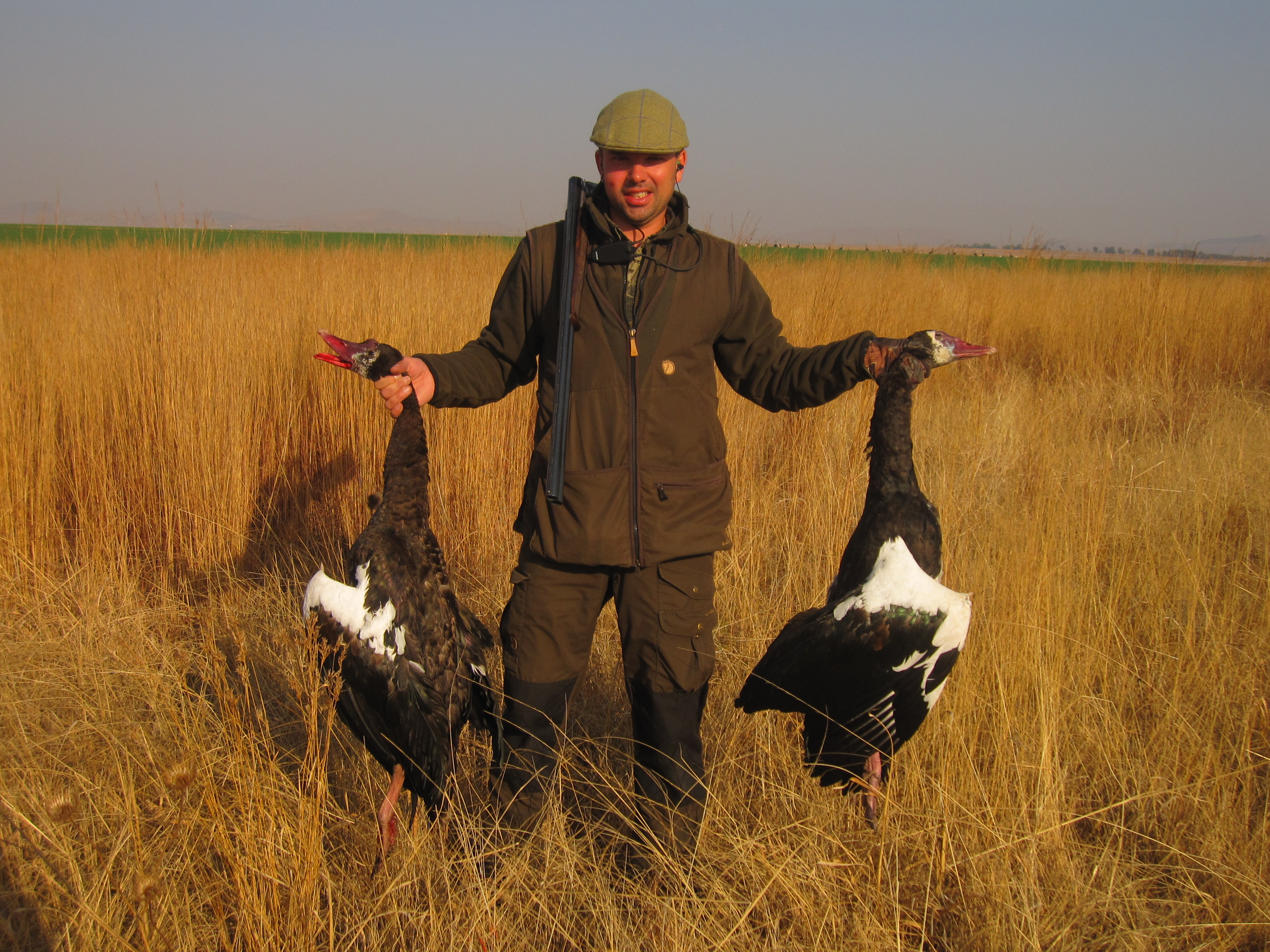 Spurwing geese Umdende Hunting Safaris