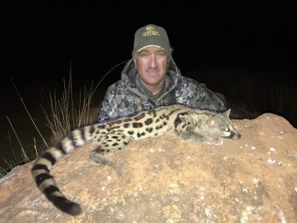 Umdende Hunting Safaris Spotted Genet